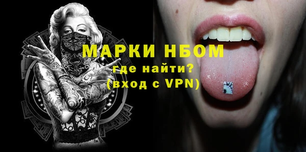 шишки Арсеньев