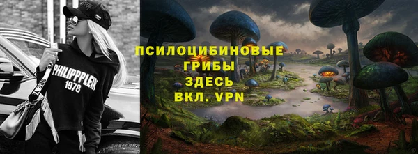 шишки Арсеньев