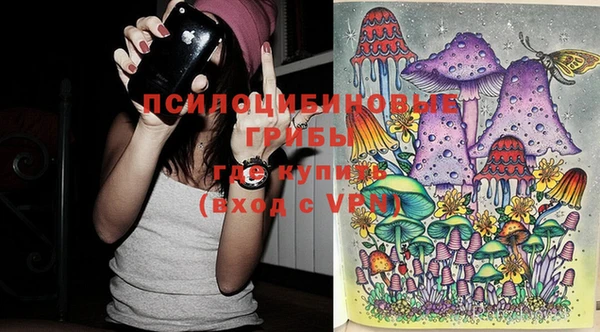 шишки Арсеньев