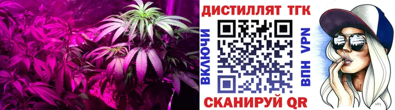 ТГК THC oil  продажа наркотиков  Ялуторовск 